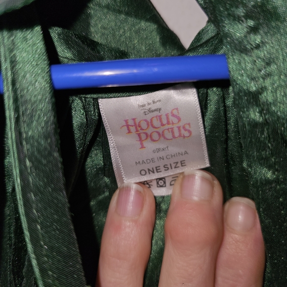 Disney Hocus Pocus Green Costume - Picture 3 of 4